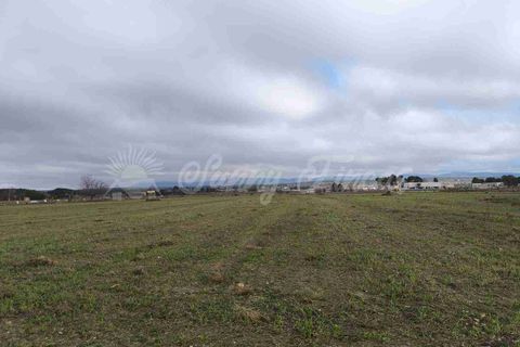 Landejendom i Almansa, Albacete, Almansa - € 125.000 | Ref: SF0553 - foto 23